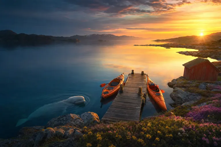 Long Light Dock cover art